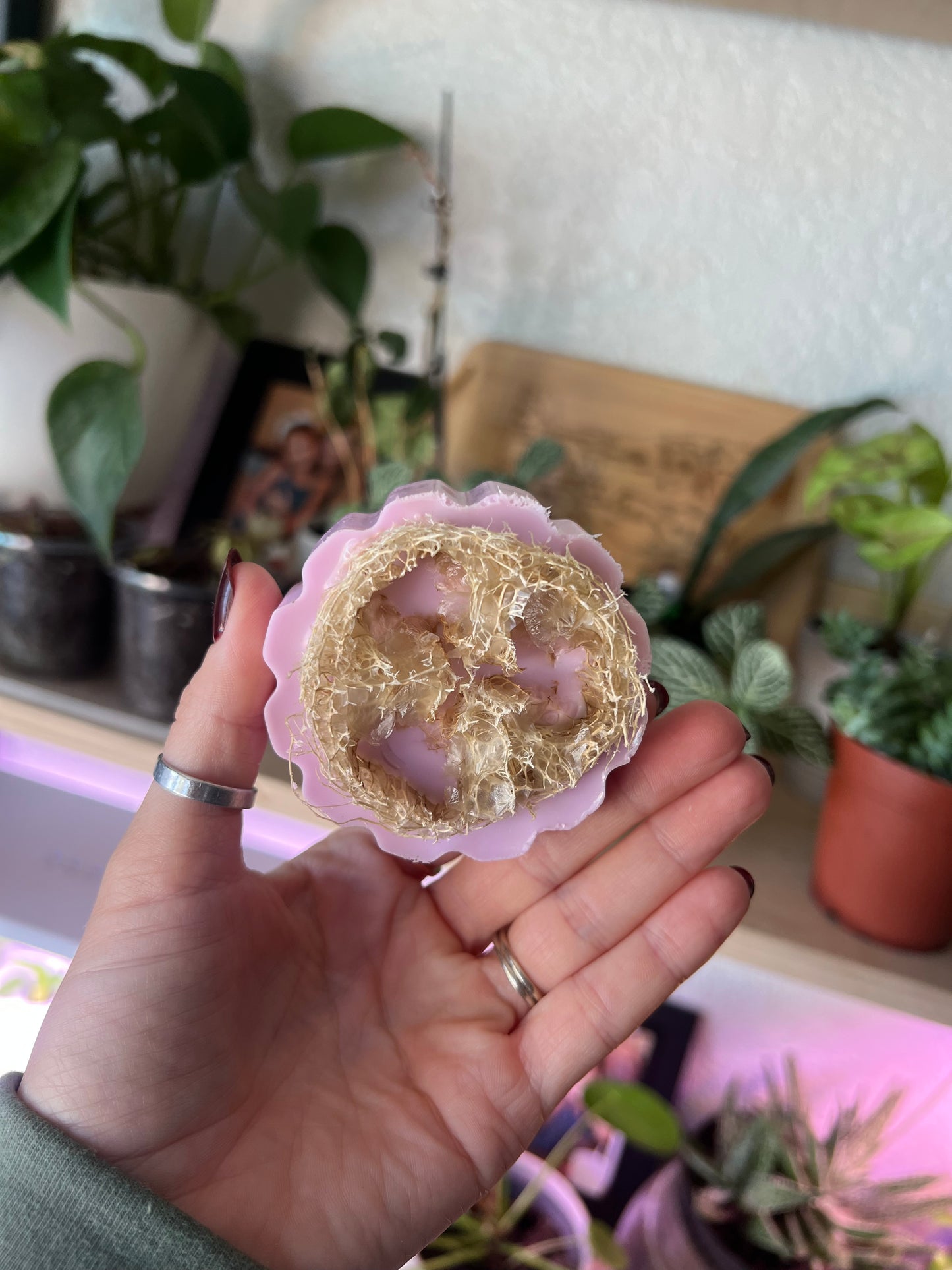 Homegrown Loofah Bars