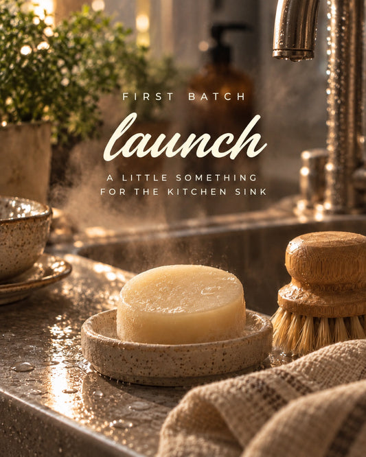 Kitchen Duo first batch launch: solid dish soap and bamboo brush at the kitchen sink